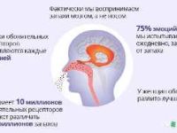 Как уменьшить затраты на эксплуатацию канализации в туалете: практические советы