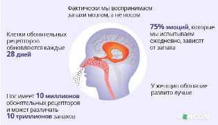 Как уменьшить затраты на эксплуатацию канализации в туалете: практические советы