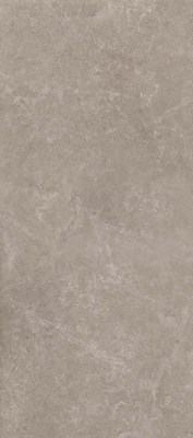 11020 Керамогранит Shell DG 120x60 Creto