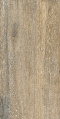 Керамогранит DW02 Dream Wood 60,9x30,6 матовый